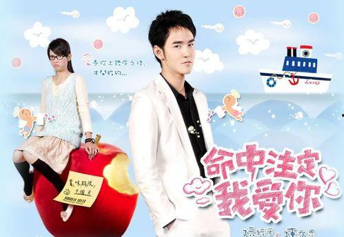 命中注定我嫁你,缘定三生，携手共度