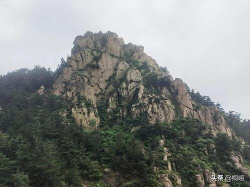 恶狼山,荒野狼群的传奇与探险之旅