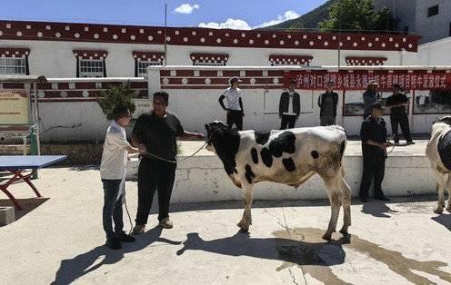 援助交配,探索神奇交配现象
