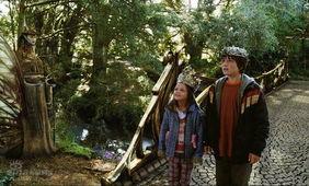 仙境之桥,穿越时空的奇幻之旅